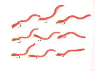 Squirmy worm