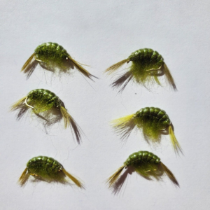 Olive Scud